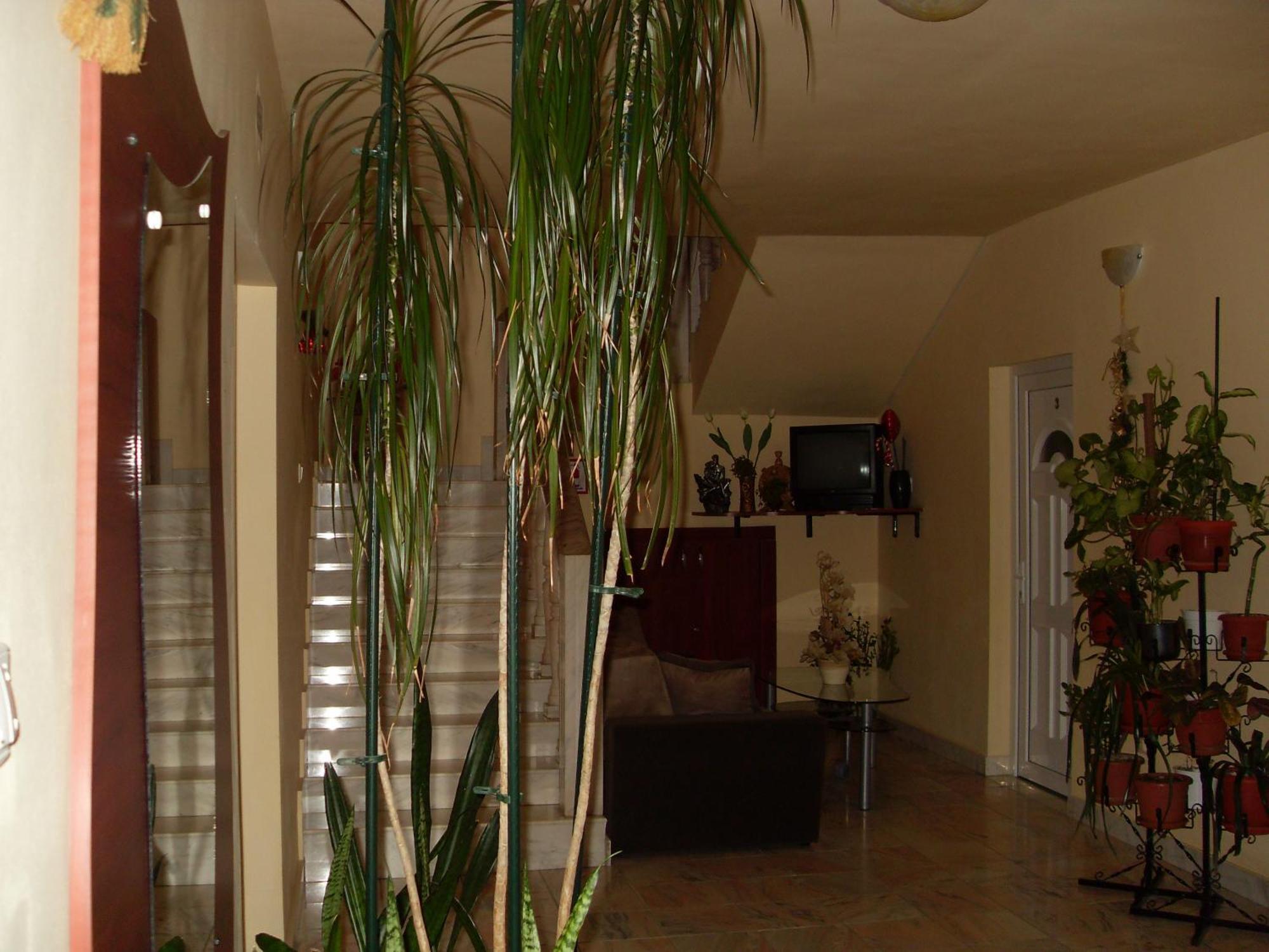 Pensiunea Beverly Hills Baile Felix Ngoại thất bức ảnh